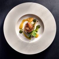 Rodolphe SERRES - RODOLPHE SERRES