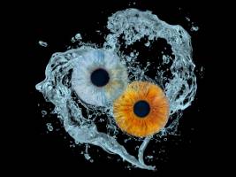 Cédric GIRARD - Studio Bouinotte